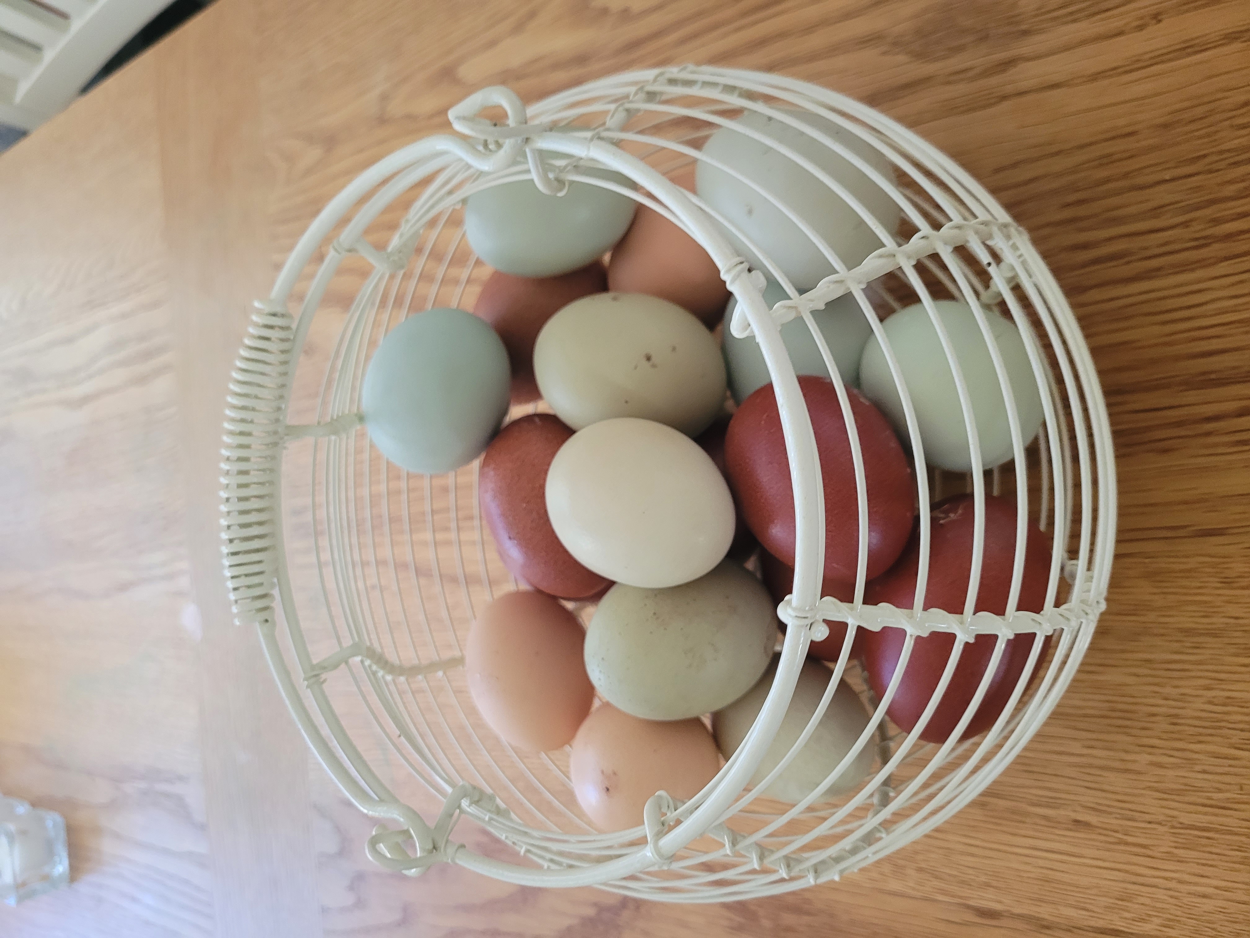 Gårdsägg i olika färger